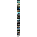 GoT.jpg