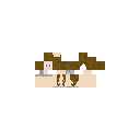 arianiz.png