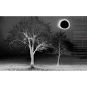 black_sun.png