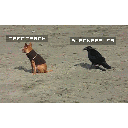 blackandcreck.gif