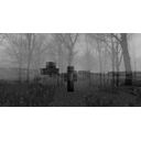 bwmc.jpg