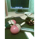 photoK.jpg