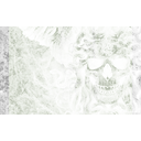 wp_medusa.png