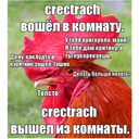 creci.png