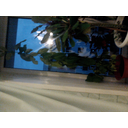 img00342.jpg