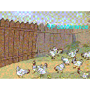 traktor_petushki.gif