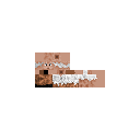 starikpit.png