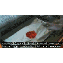 cthulhu.gif