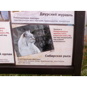 img00398.jpg