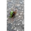 20130807_194517_22262.jpg
