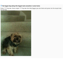 1383802076451.png