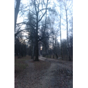 imag0207.jpg