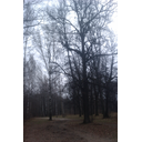 imag0214.jpg