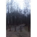 imag0223.jpg