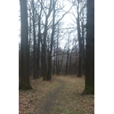 imag0226.jpg