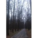 imag0235.jpg