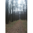 imag0243.jpg