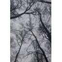 imag0253.jpg