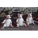 nk2iwlvf.png