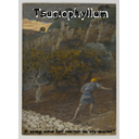 brooklyn_museum___the_enemy_who_sows__l_ennemi_qui_s_me____james_tissot.jpg