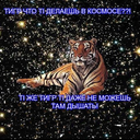 1395336910349.jpg