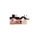 f1.png