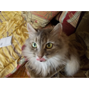 dscn0027.jpg