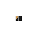 cloak.png