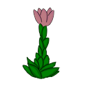 hurmiumxcf.png