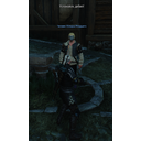 ger.png