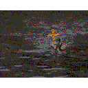 gryade.gif