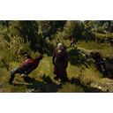 ger14.png