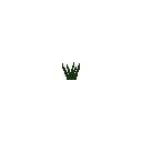 tr.png