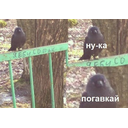iwbitu_2486891.jpg