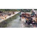 gif.gif