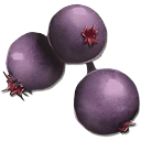 mejoberry.png