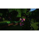 2018_11_18_14.25.28.png