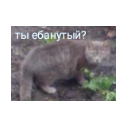 1555500069594.png