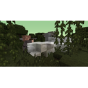 2020_03_09_16.51.35.png