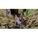 2020_04_10_20.56.14.png