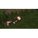 2020_04_24_21.58.36.png